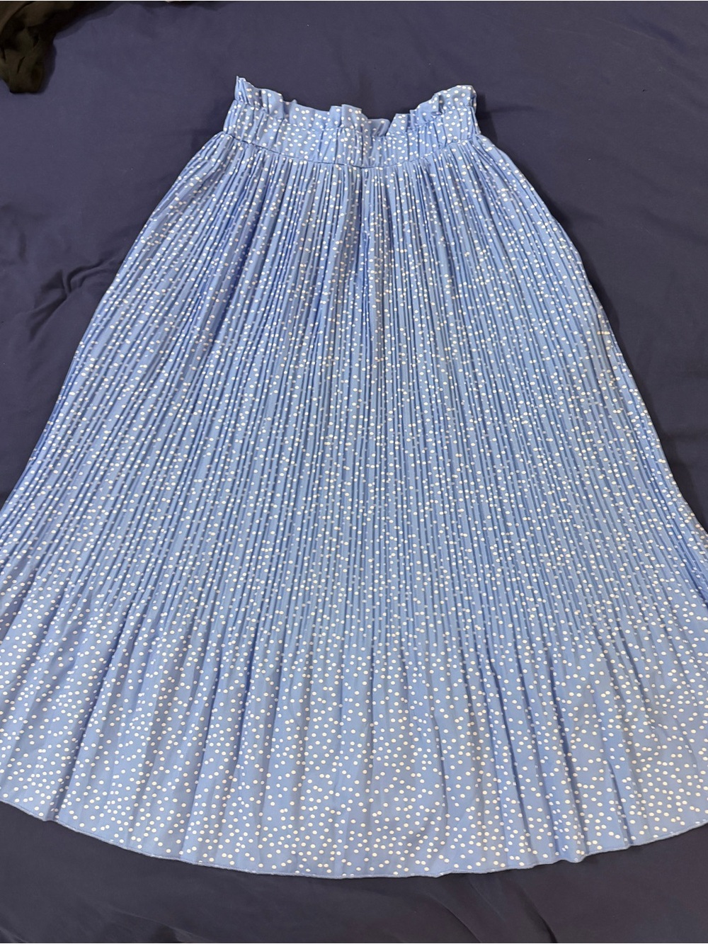 Light Blue Pleated Polka Dot Maxi Skirt